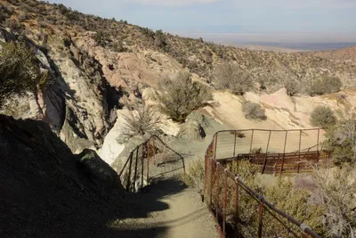 DSC_6269 (Large).JPG